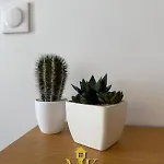 Lejlighed Design Gare, Netflix & Confort Nancy