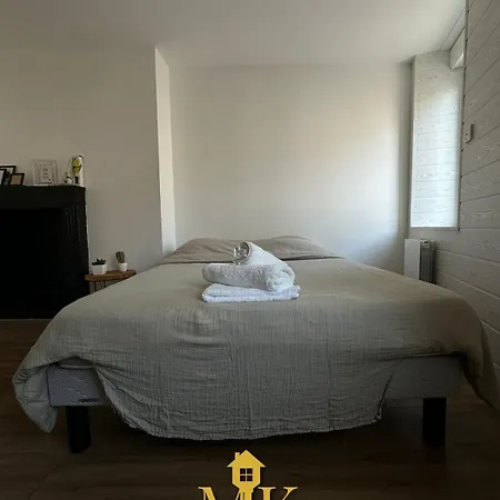 Cosy Gare Et Centre * Nancy