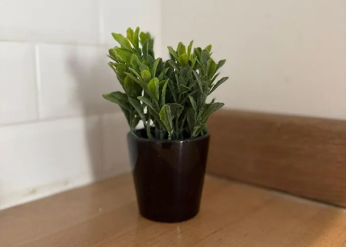 Design Gare, Netflix & Confort Appartement