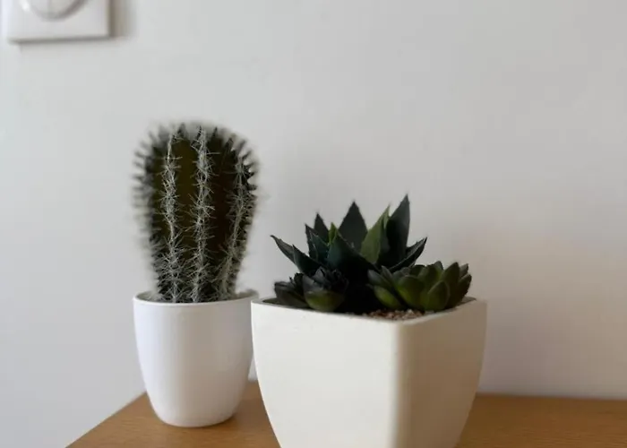 Appartement Design Gare, Netflix & Confort Nancy